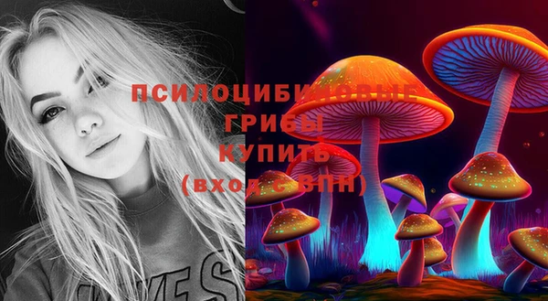 каннабис Хадыженск
