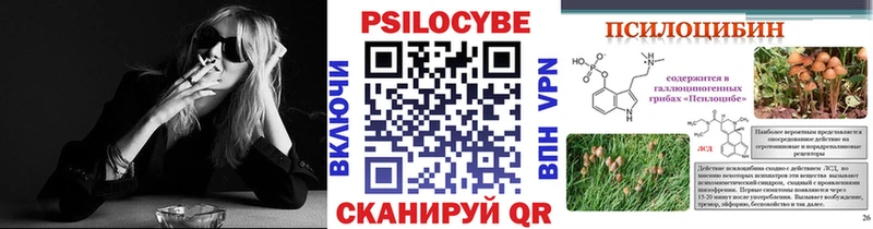 Галлюциногенные грибы мицелий  Купить  Горбатов 